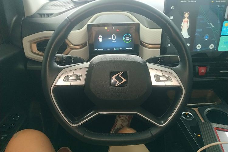Used SOL E10X 2022 Flower Fairy Style Baby's Breath Steering Wheel