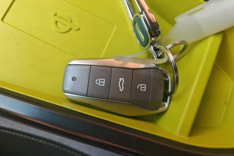 Used SOL E10X 2022 Flower Fairy Style Baby's Breath Vehicle Key