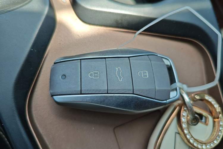 Used SOL E10X 2022 Flower Fairy Design Four-Leaf Clover Vehicle Key
