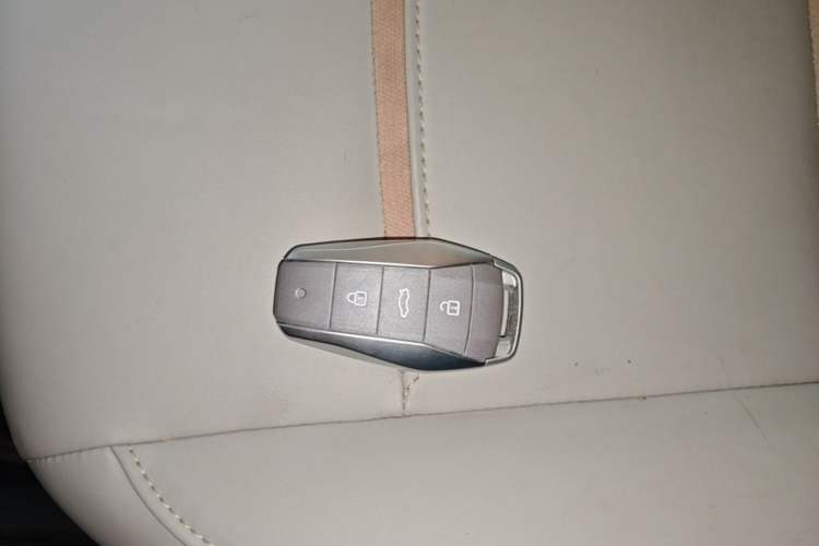 Used SOL E10X 2022 Flower Fairy Design Four-Leaf Clover Vehicle Key