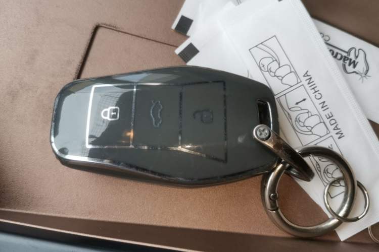 Used SOL E10X 2022 Flower Fairy Design Four-Leaf Clover Vehicle Key
