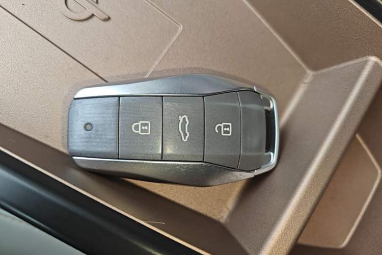 Used SOL E10X 2022 Flower Fairy Design Four-Leaf Clover Vehicle Key