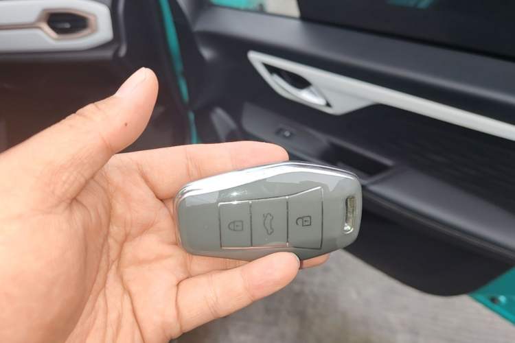 Used SOL E10X 2022 Flower Fairy Style Baby's Breath Vehicle Key