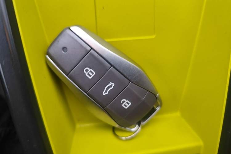 Used SOL E10X 2022 Flower Fairy Style Baby's Breath Vehicle Key
