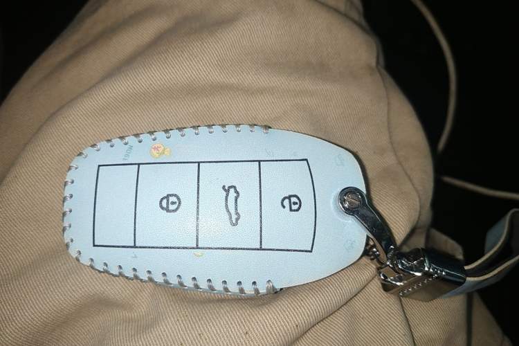Used SOL E10X 2022 Flower Fairy Style Baby's Breath Vehicle Key