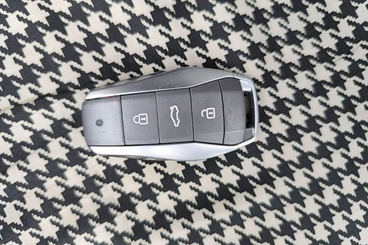 Used SOL E10X 2022 Flower Fairy Style Baby's Breath Vehicle Key