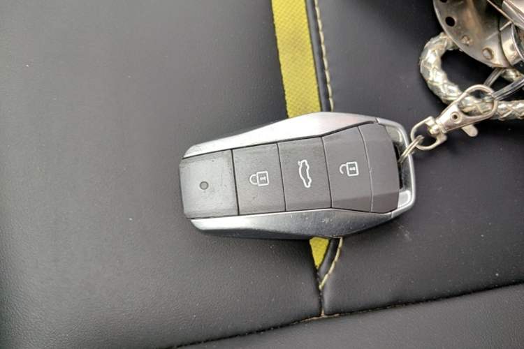 Used SOL E10X 2022 Flower Fairy Design Four-Leaf Clover Vehicle Key