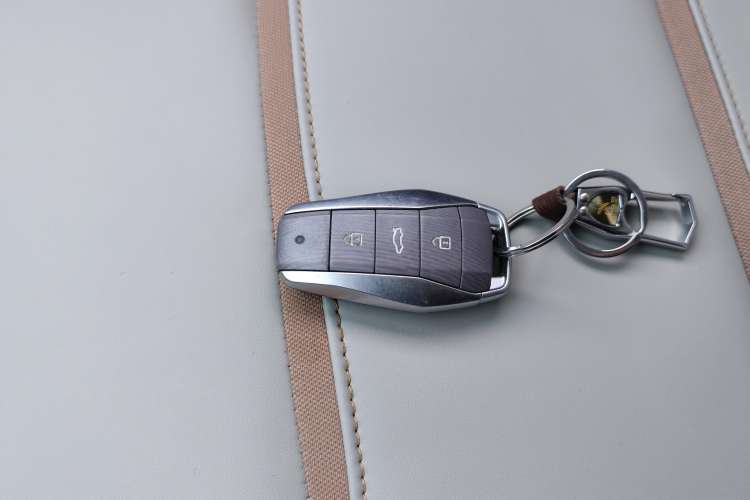 Used SOL E10X 2022 Flower Fairy Design Four-Leaf Clover Vehicle Key