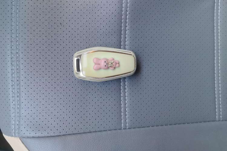 Used SOL E10X 2022 Flower Fairy Style Baby's Breath Vehicle Key
