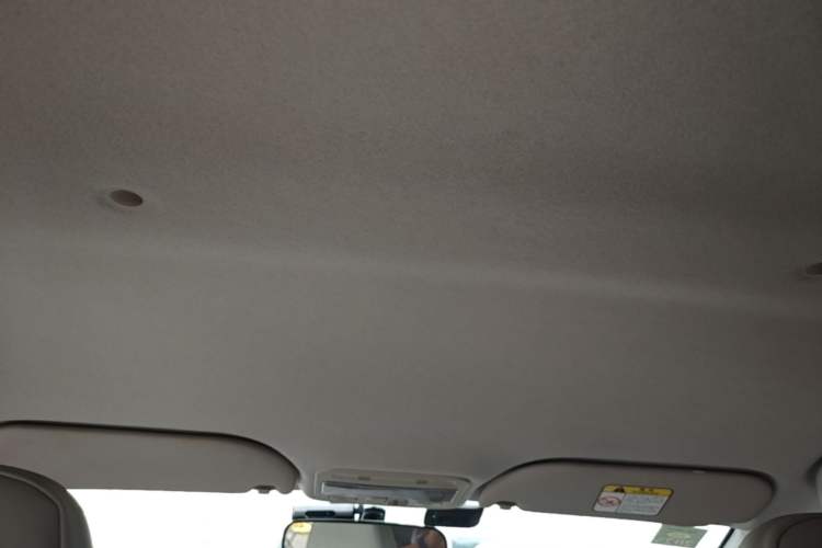 Used SOL E10X 2022 Flower Fairy Style Baby's Breath Headliner