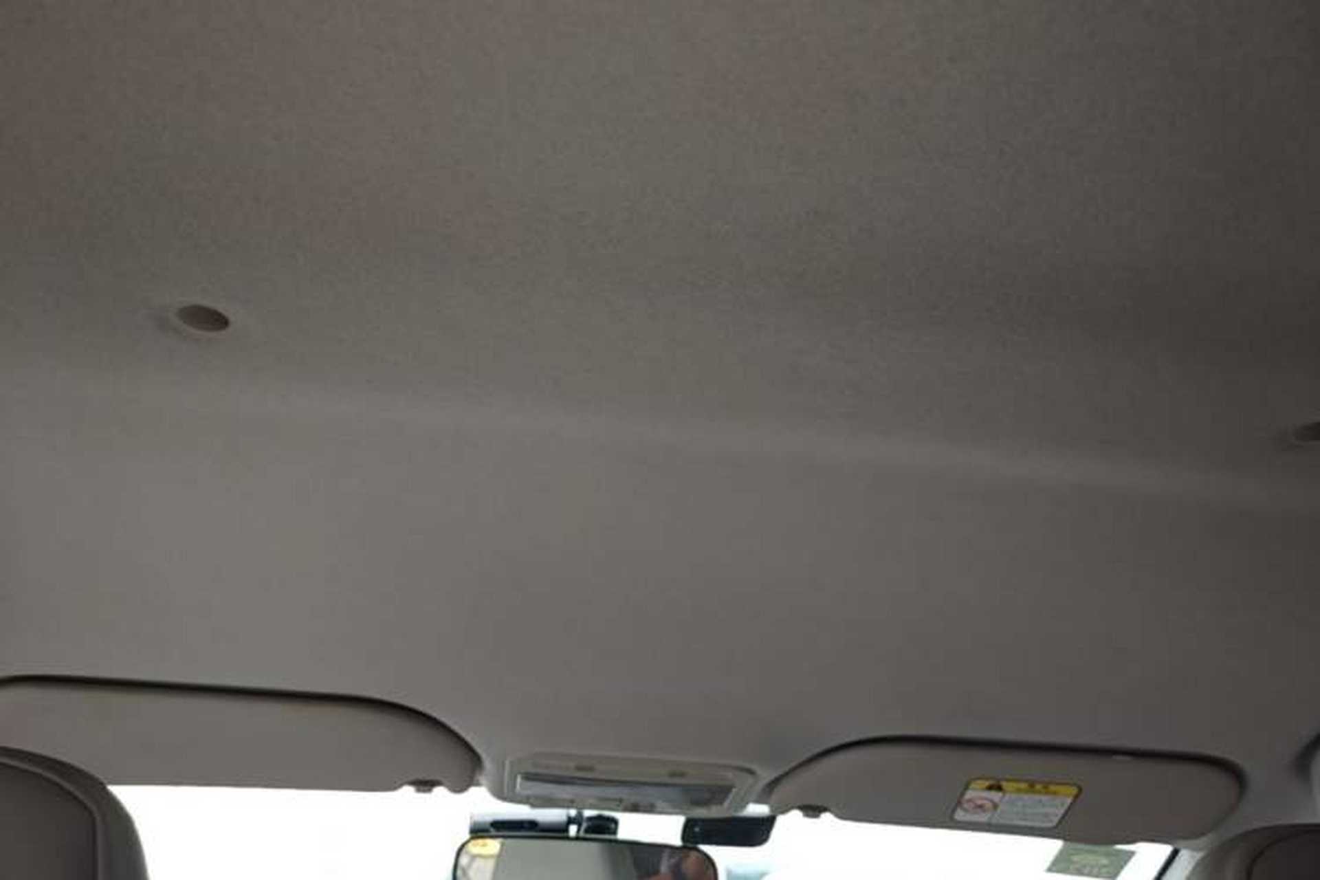 Used SOL E10X 2022 Flower Fairy Style Baby's Breath Headliner