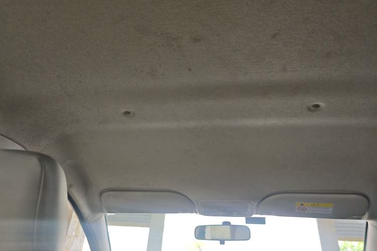 Used SOL E10X 2022 Flower Fairy Design Four-Leaf Clover Headliner