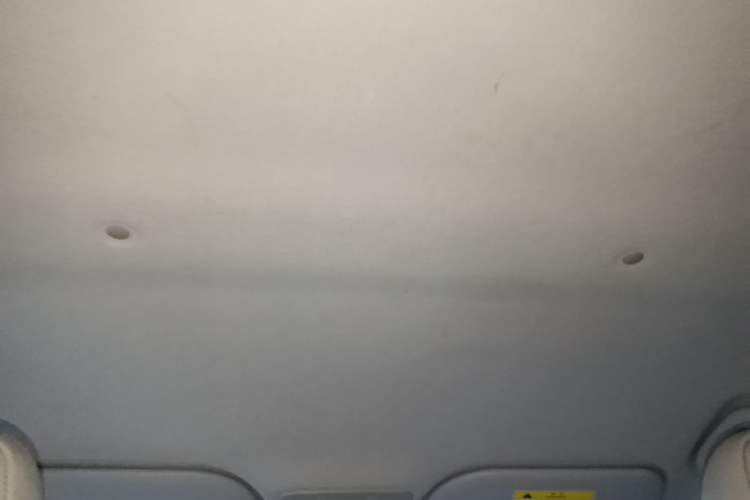 Used SOL E10X 2022 Flower Fairy Style Baby's Breath Headliner