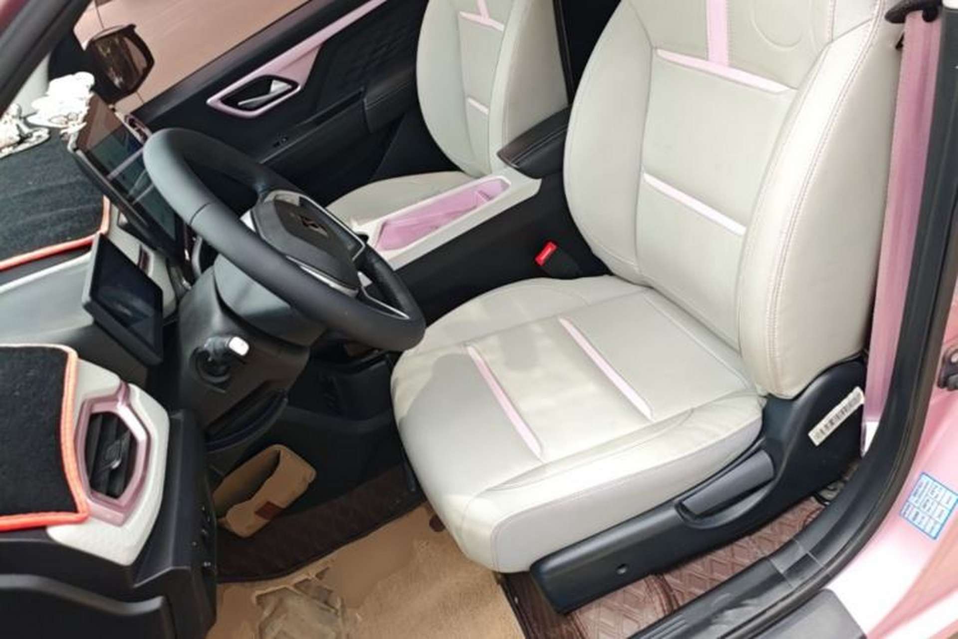 Used SOL E10X 2022 Flower Fairy Style Baby's Breath Left Front Seat
