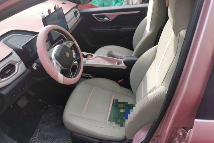 Used SOL E10X 2022 Flower Fairy Style Baby's Breath Left Front Seat