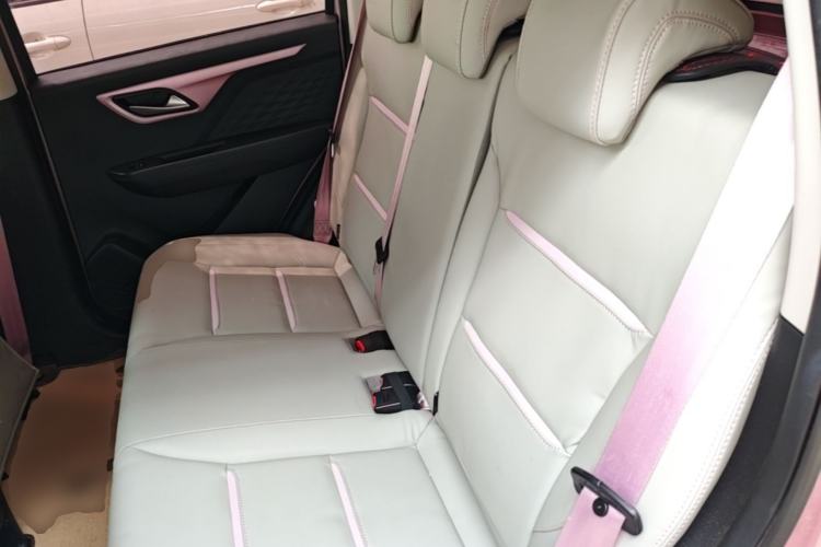 Used SOL E10X 2022 Flower Fairy Style Baby's Breath Left Rear Seat