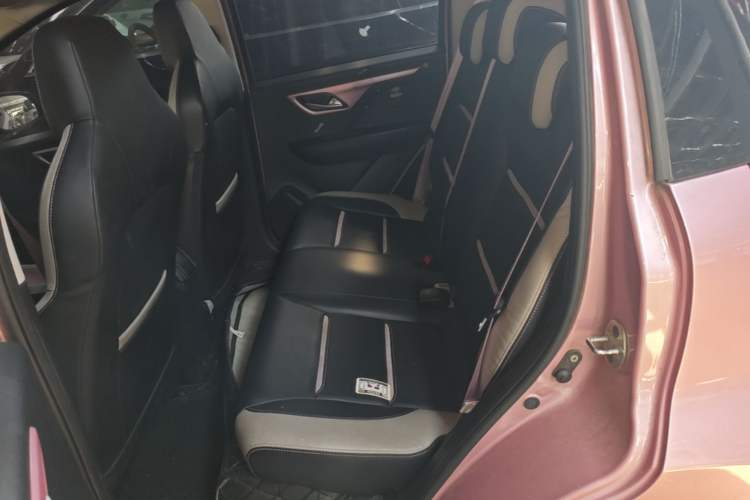 Used SOL E10X 2022 Flower Fairy Design Four-Leaf Clover Left Rear Seat