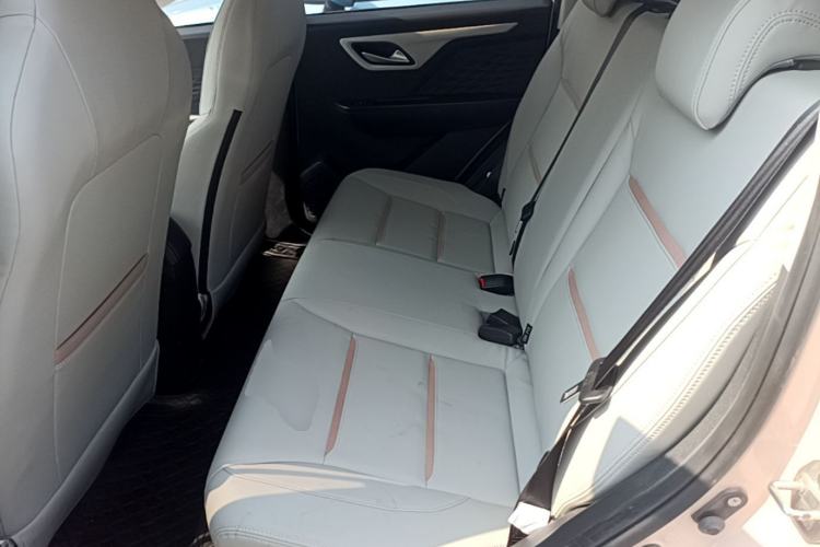 Used SOL E10X 2022 Flower Fairy Design Four-Leaf Clover Left Rear Seat