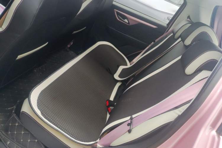 Used SOL E10X 2022 Flower Fairy Design Four-Leaf Clover Left Rear Seat