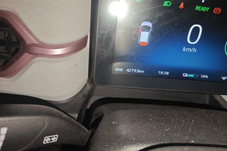 Used SOL E10X 2022 Flower Fairy Design Four-Leaf Clover Odometer Close Up