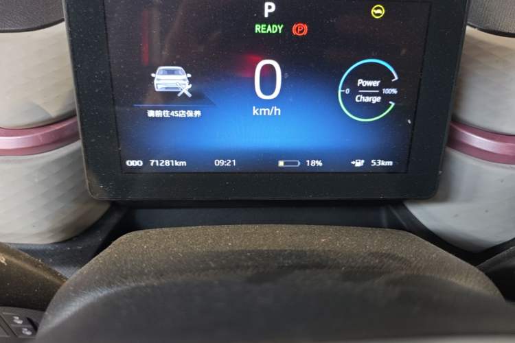 Used SOL E10X 2022 Flower Fairy Design Four-Leaf Clover Odometer Close Up