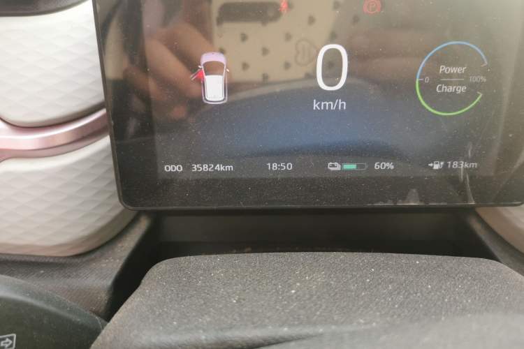 Used SOL E10X 2022 Flower Fairy Style Baby's Breath Odometer Close Up