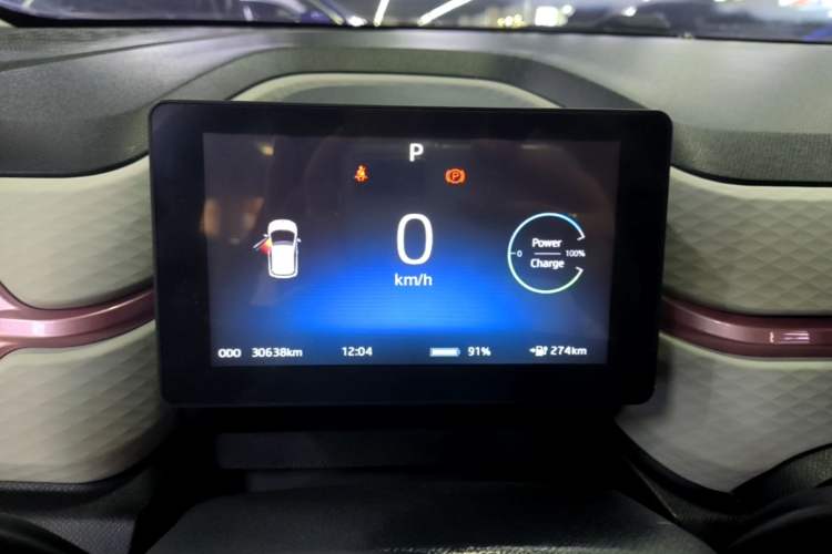 Used SOL E10X 2022 Flower Fairy Design Four-Leaf Clover Instrument Cluster