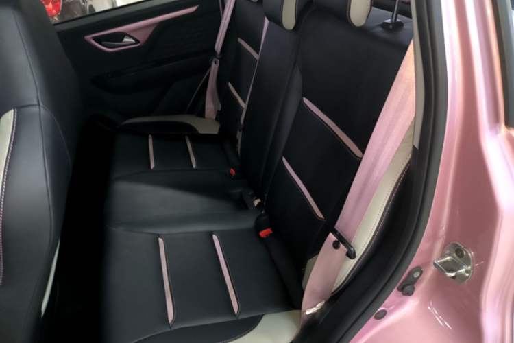 Used SOL E10X 2022 Flower Fairy Design Four-Leaf Clover Left Rear Seat