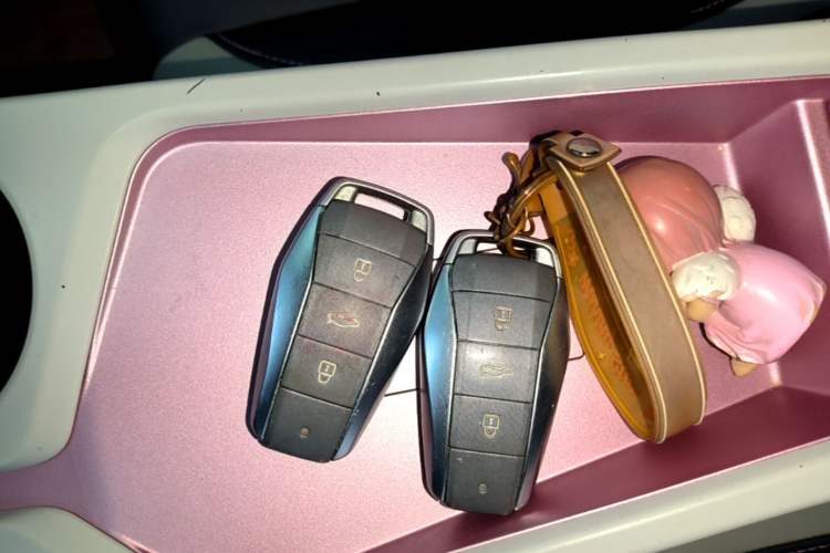 Used SOL E10X 2022 Flower Fairy Design Four-Leaf Clover Vehicle Key