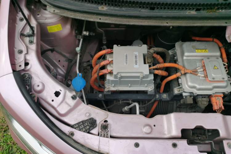 Used SOL E10X 2022 Flower Fairy Design Dandelion Engine Bay Right