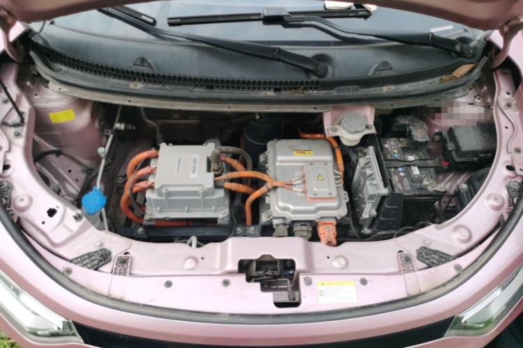 Used SOL E10X 2022 Flower Fairy Design Dandelion Engine Bay
