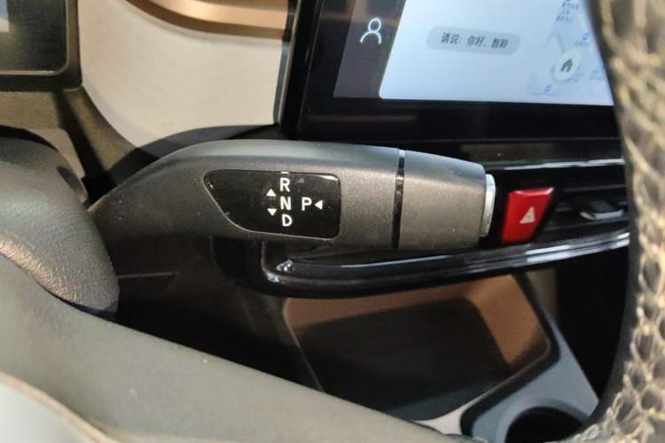 Used SOL E10X 2022 Flower Fairy Style Baby's Breath Gear Lever