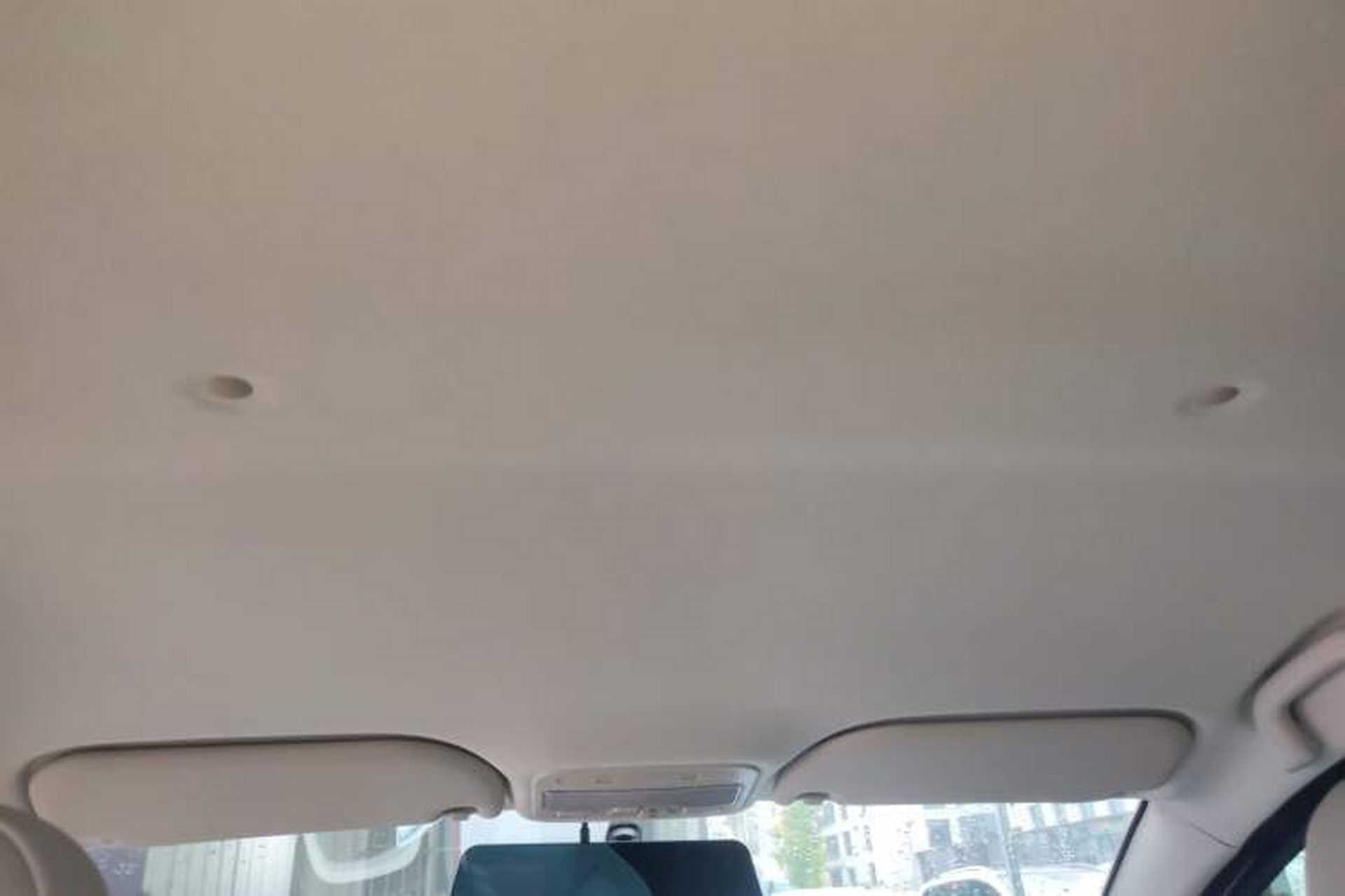 Used SOL E10X 2022 Flower Fairy Design Four-Leaf Clover Headliner