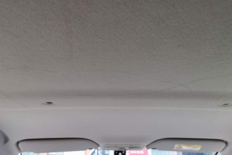 Used SOL E10X 2022 Flower Fairy Design Dandelion Headliner