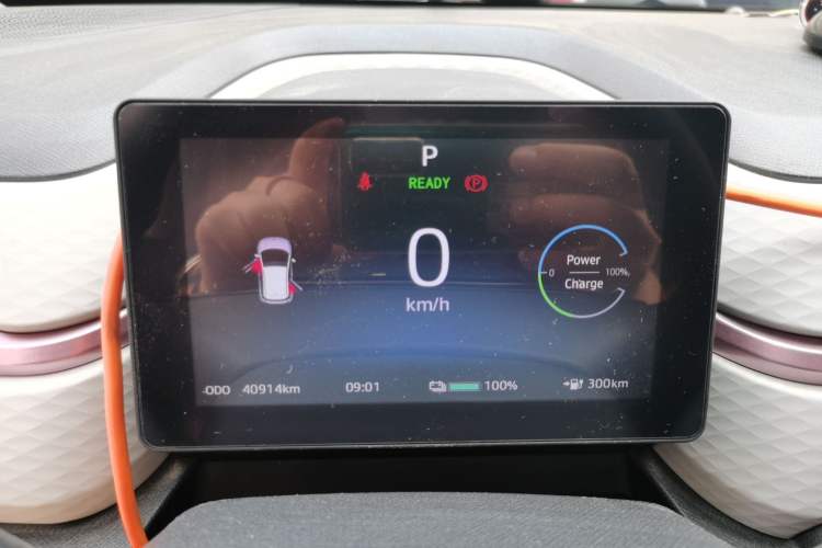 Used SOL E10X 2022 Flower Fairy Design Dandelion Instrument Cluster