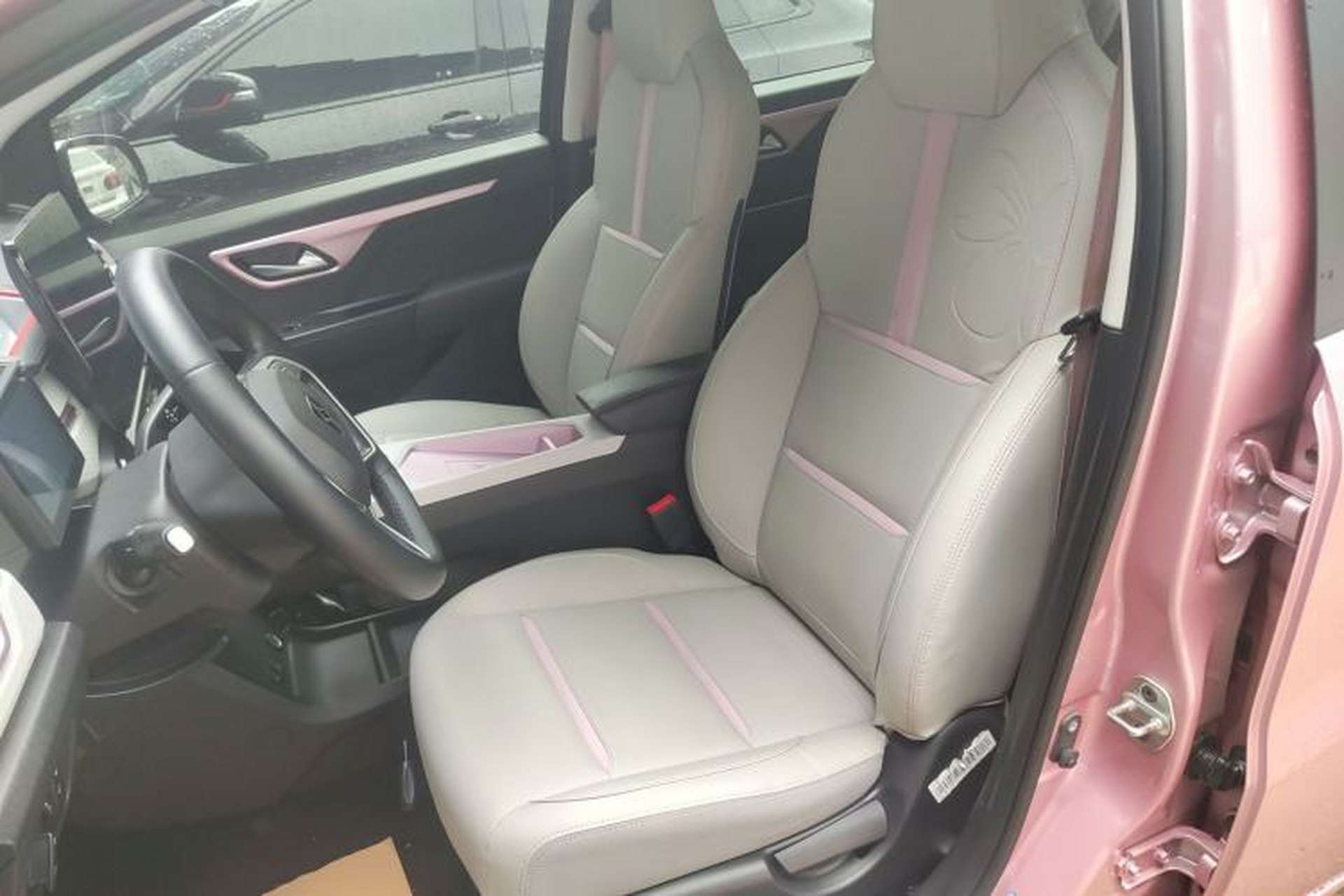 Used SOL E10X 2022 Flower Fairy Design Four-Leaf Clover Left Front Seat