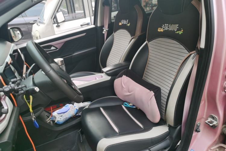 Used SOL E10X 2022 Flower Fairy Design Dandelion Left Front Seat