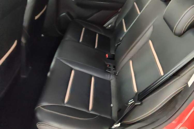 Used SOL E10X 2022 Flower Fairy Style Baby's Breath Left Rear Seat
