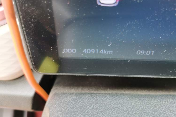 Used SOL E10X 2022 Flower Fairy Design Dandelion Odometer Close Up