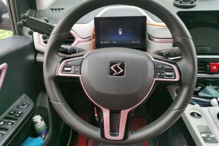 Used SOL E10X 2022 Flower Fairy Design Dandelion Steering Wheel