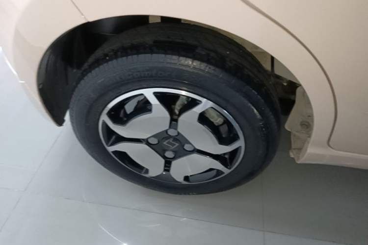 Used SOL E10X 2022 Flower Fairy Style Baby's Breath Right Rear Wheel Hub