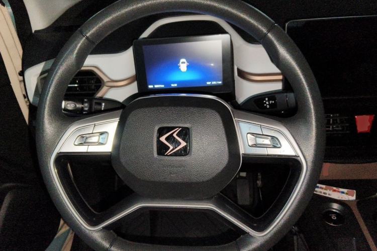 Used SOL E10X 2022 Flower Fairy Design Four-Leaf Clover Steering Wheel