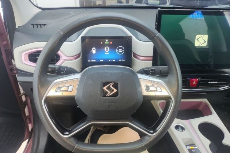 Used SOL E10X 2022 Flower Fairy Design Four-Leaf Clover Steering Wheel