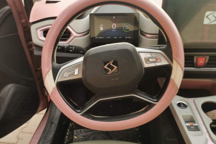 Used SOL E10X 2022 Flower Fairy Style Baby's Breath Steering Wheel