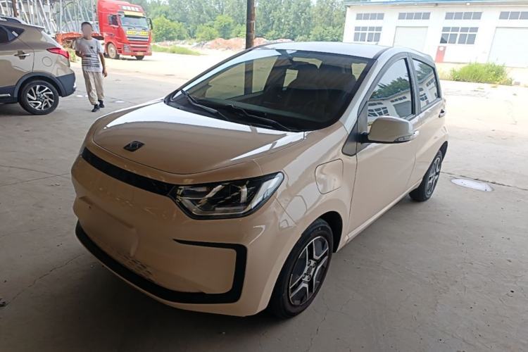 Used SOL E10X 2022 Flower Fairy Design Four-Leaf Clover Guazi used car, China used car export, Used car for sale, Used  cars, Cheapest cars for sale