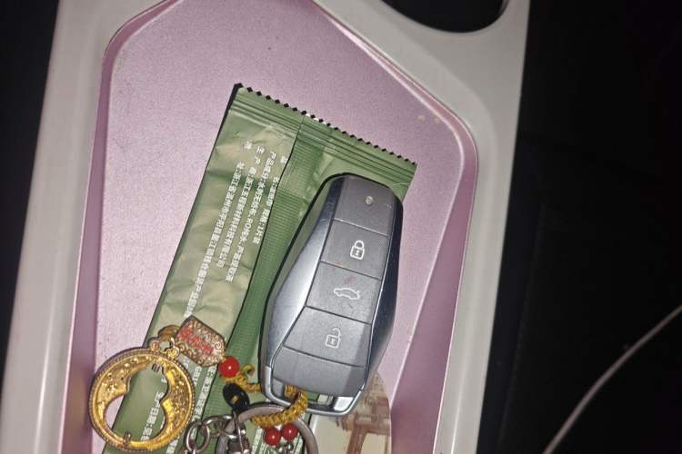 Used SOL E10X 2022 Flower Fairy Design Four-Leaf Clover Vehicle Key