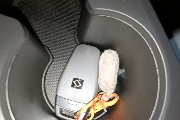 Used SOL E10X 2022 Flower Fairy Style Baby's Breath Vehicle Key
