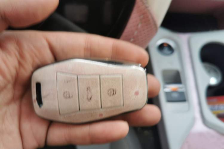 Used SOL E10X 2022 Flower Fairy Style Baby's Breath Vehicle Key