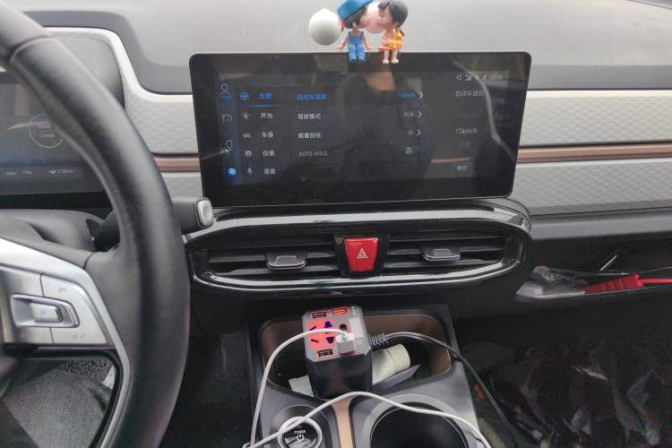 Used SOL E10X 2022 Flower Fairy Style Baby's Breath Audio And AC Panel