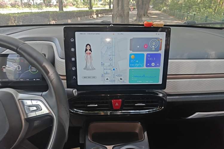 Used SOL E10X 2022 Flower Fairy Style Baby's Breath Audio And AC Panel